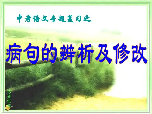 (完整版)2017中考病句专题(精)
