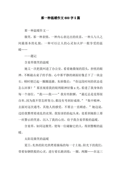 那一种温暖作文600字5篇