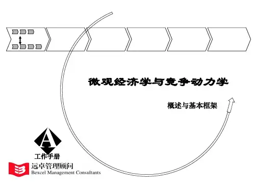 微观经济学资料新与竞争动力学(PPT 162页)