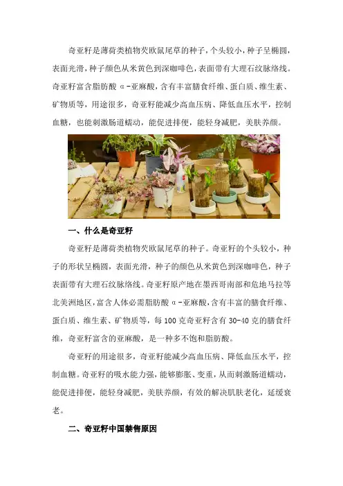 什么是奇亚籽,奇亚籽中国禁售原因