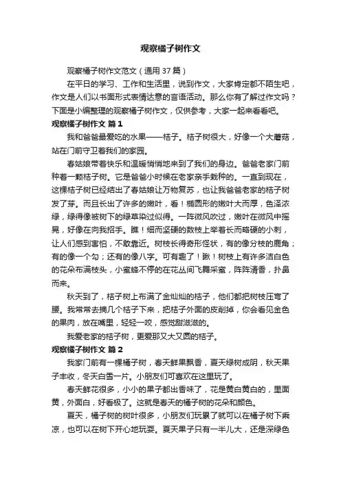 观察橘子树作文范文（通用37篇）