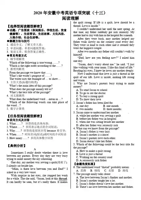 2020安徽中考专项复习(十三)：阅读理解(有答案)