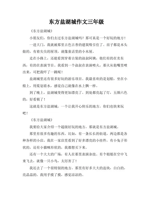 东方盐湖城作文三年级