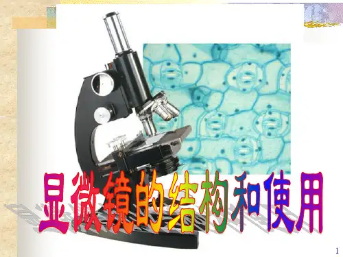 显微镜的使用方法(课堂PPT)