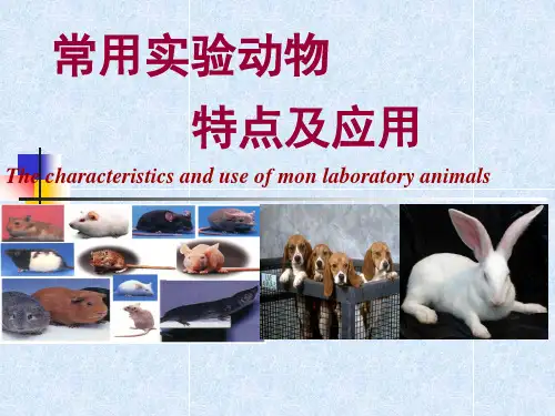 常用实验动物特性