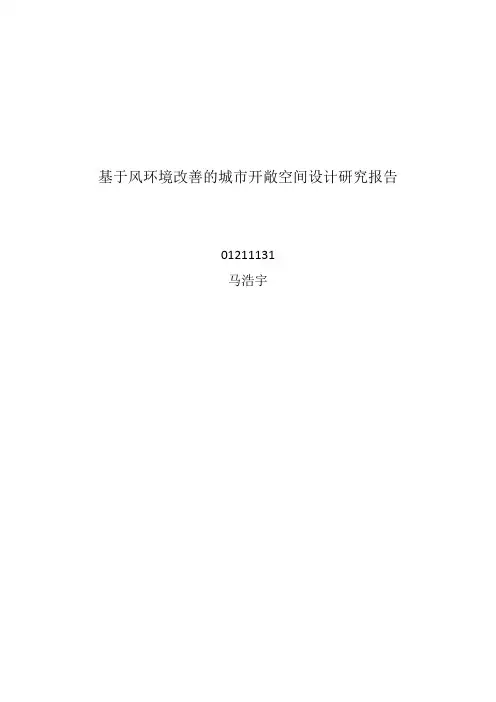 基于风环境改善的城市开敞空间设计研究报告