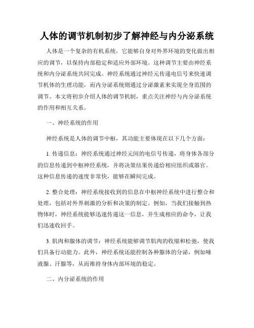 人体的调节机制初步了解神经与内分泌系统