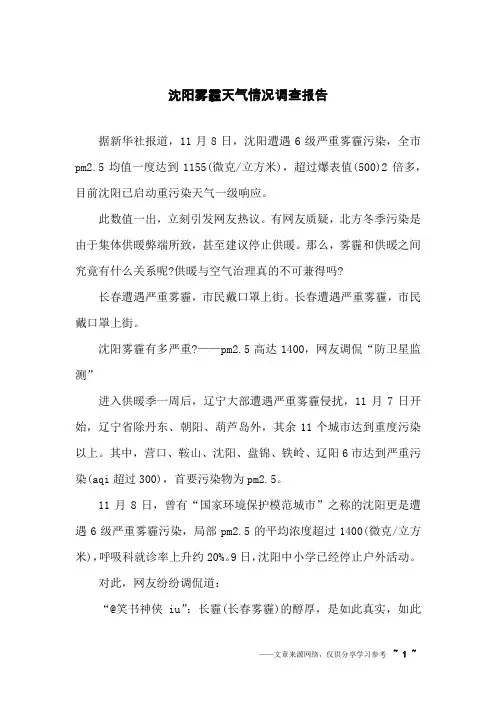 沈阳雾霾天气情况调查报告