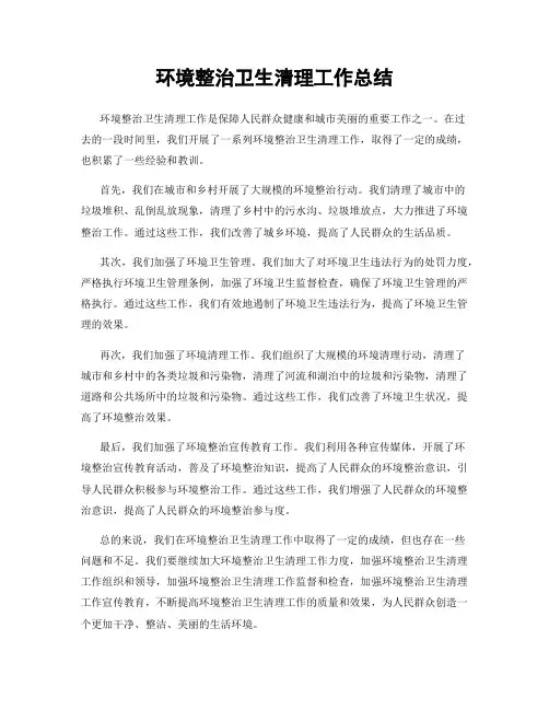 环境整治卫生清理工作总结