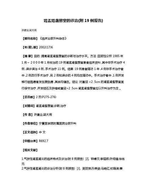 肾盂肾盏憩室的诊治(附19例报告)