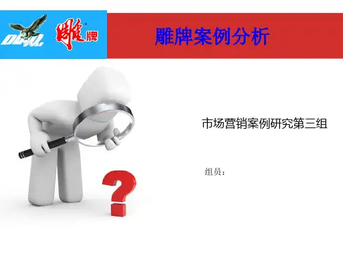 雕牌案例分析报告