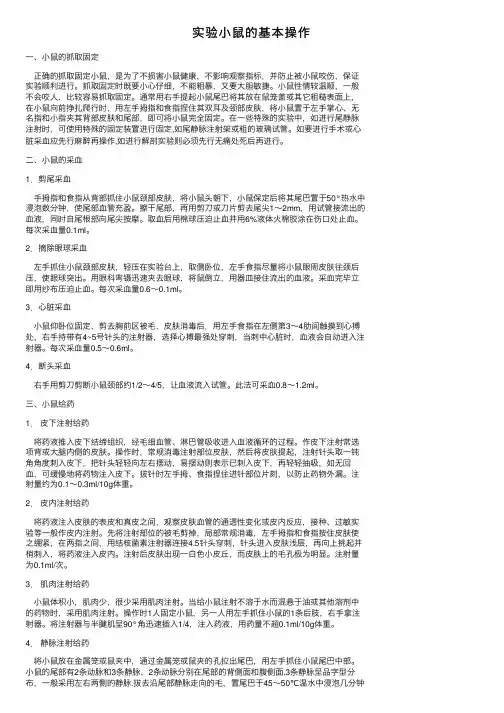 实验小鼠的基本操作