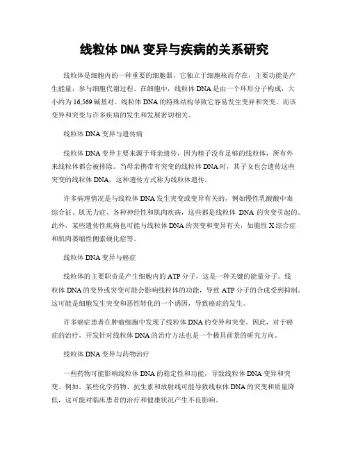 线粒体DNA变异与疾病的关系研究