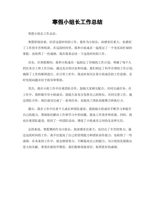 寒假小组长工作总结