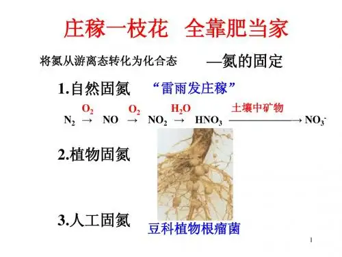 氮肥的生产和使用