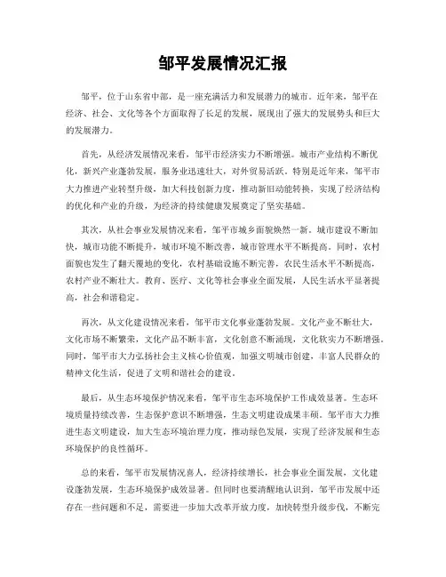 邹平发展情况汇报
