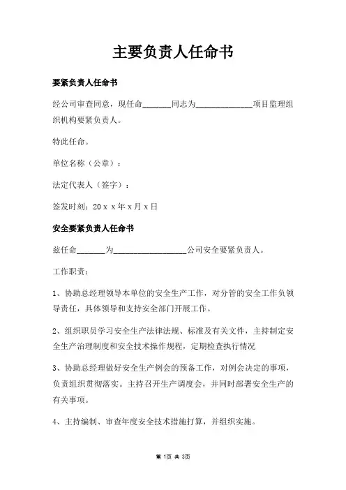 主要负责人任命书三篇