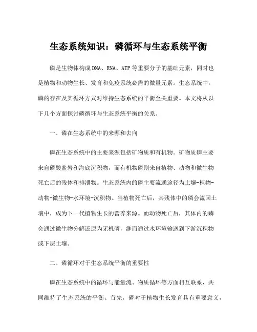 生态系统知识：磷循环与生态系统平衡