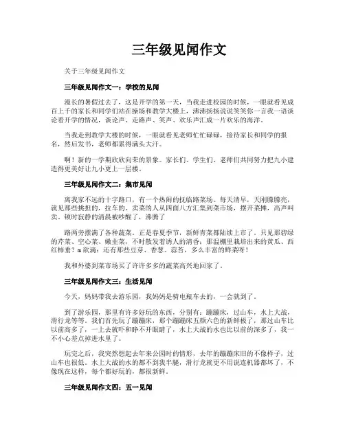 三年级见闻作文