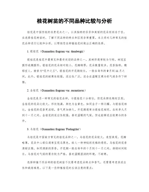 桂花树苗的不同品种比较与分析