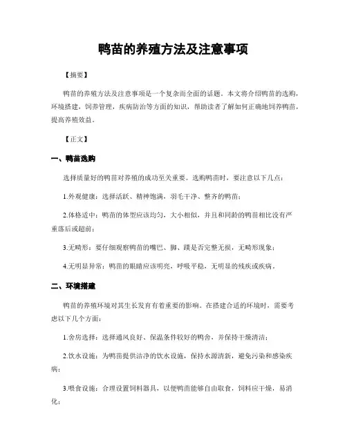 鸭苗的养殖方法及注意事项