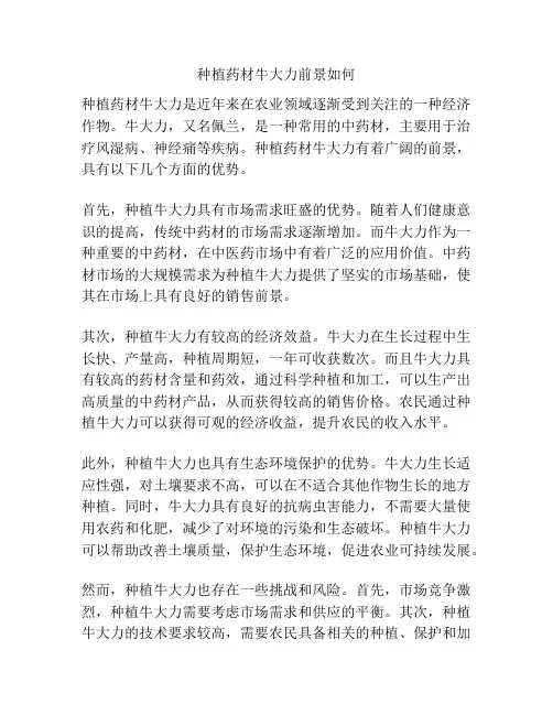 种植药材牛大力前景如何