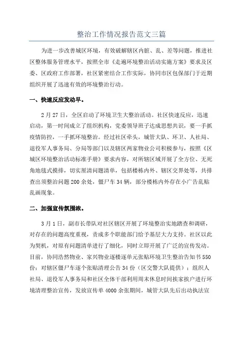 整治工作情况报告范文三篇