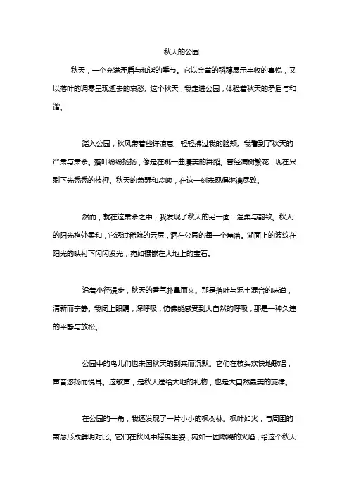 秋天的公园