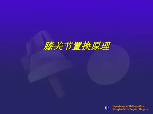 膝关节置换原理PPT参考幻灯片