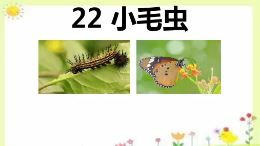 22《小毛虫》课件二年级下册语文统编版