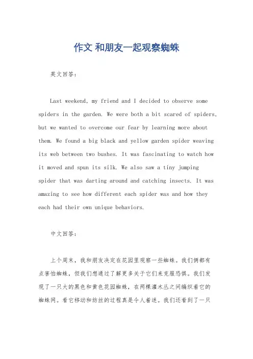 作文 和朋友一起观察蜘蛛