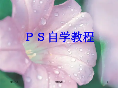 PS自学教程PPT课件