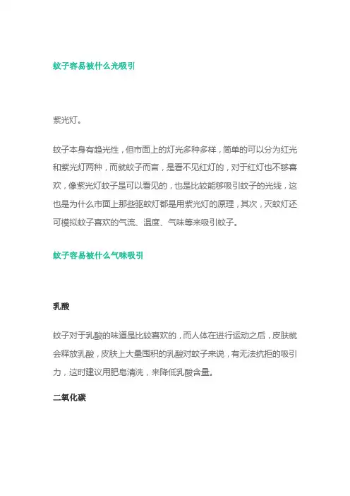 吸引蚊子的灯光