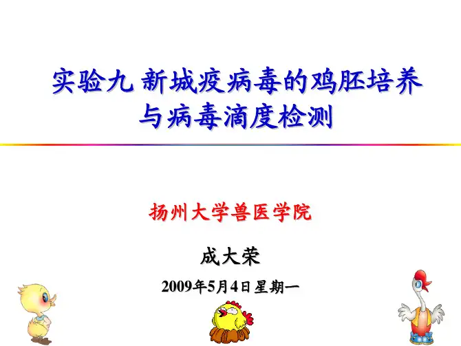 病毒的鸡胚培养