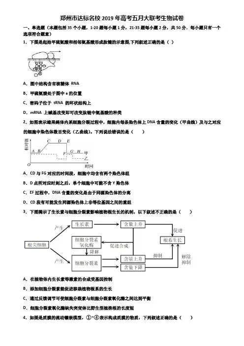 郑州市达标名校2019年高考五月大联考生物试卷含解析