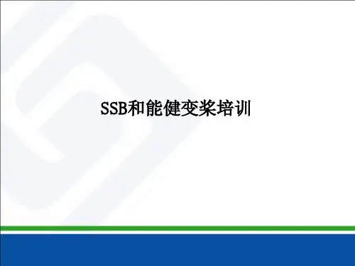 《SSB和能健变桨培训》培训讲义