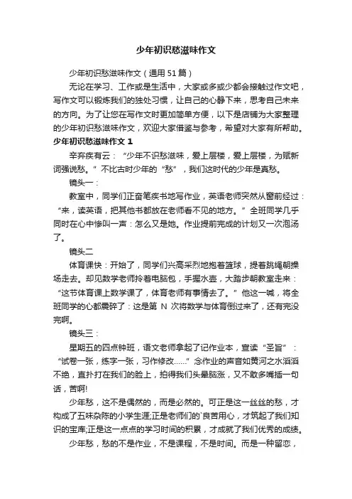 少年初识愁滋味作文