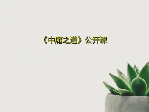 《中庸之道》公开课共22页文档