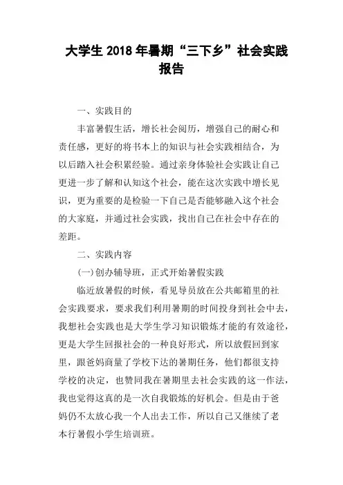 大学生2018年暑期“三下乡”社会实践报告