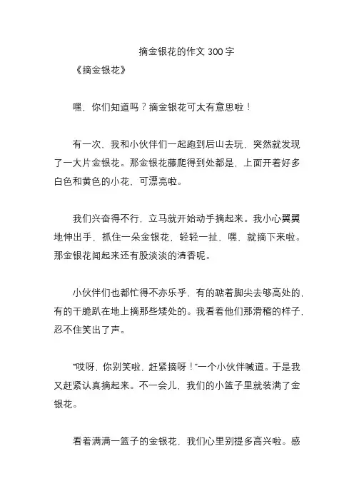 摘金银花的作文300字