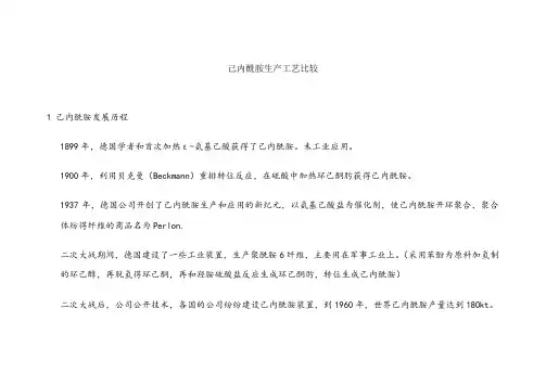 己内酰胺生产工艺比较