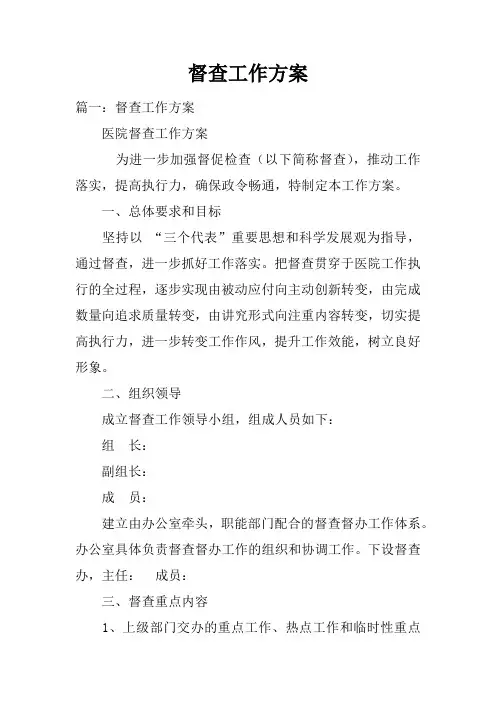 督查工作方案