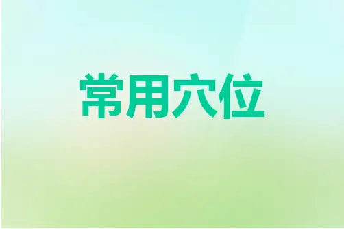 常用穴位PPT课件