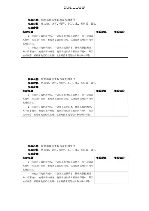 六年级上册实验报告单