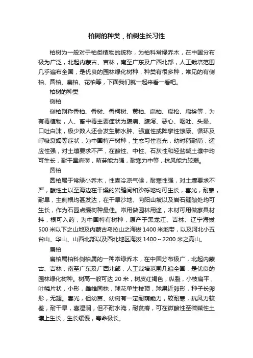 柏树的种类，柏树生长习性