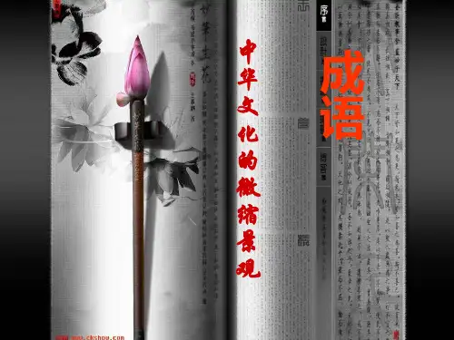 人教语文必修2《成语：中华文化的微缩景观》ppt课件