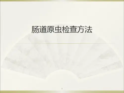 肠道原虫检查方法与形态鉴别ppt演示课件