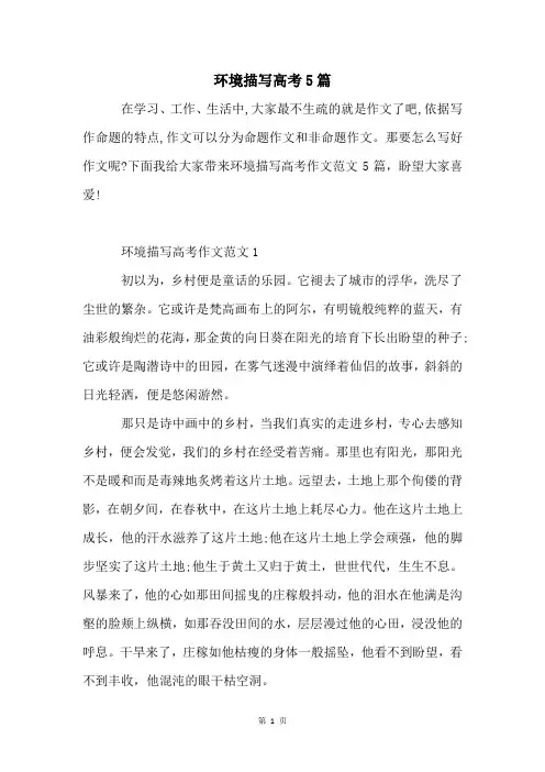 环境描写高考5篇
