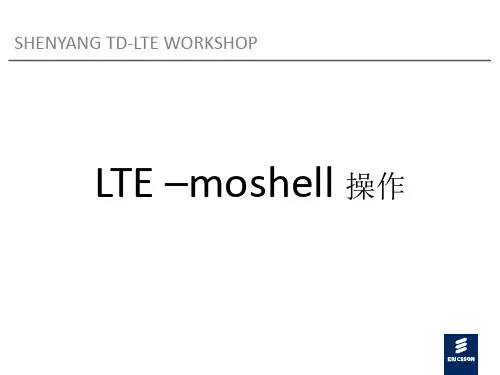 LTE-moshell操作简介