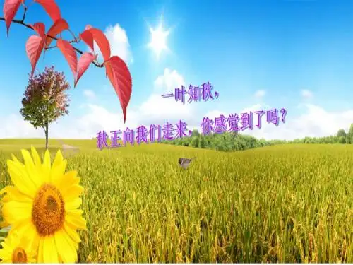《秋天》何其芳1ppt